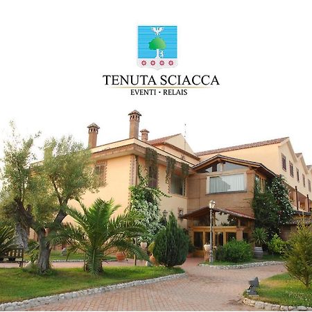Tenuta Sciacca Falciano del Massico Exterior foto