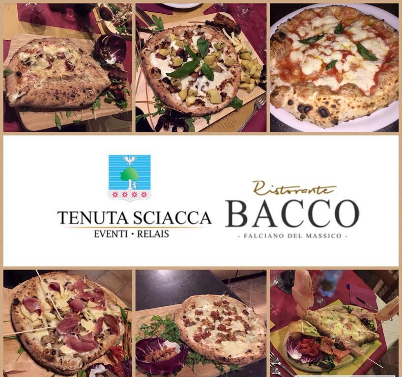Tenuta Sciacca Falciano del Massico Exterior foto