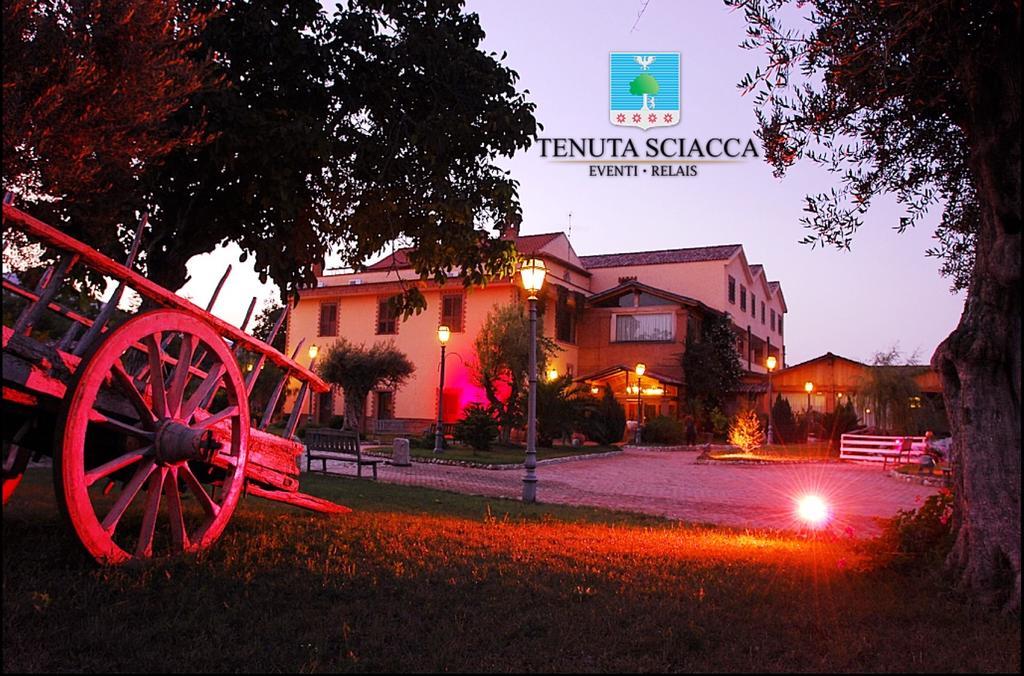 Tenuta Sciacca Falciano del Massico Exterior foto